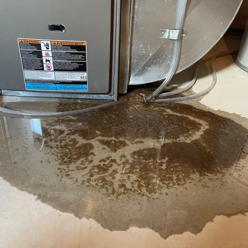 Appliance Leak Cleanup in Victoria, VA