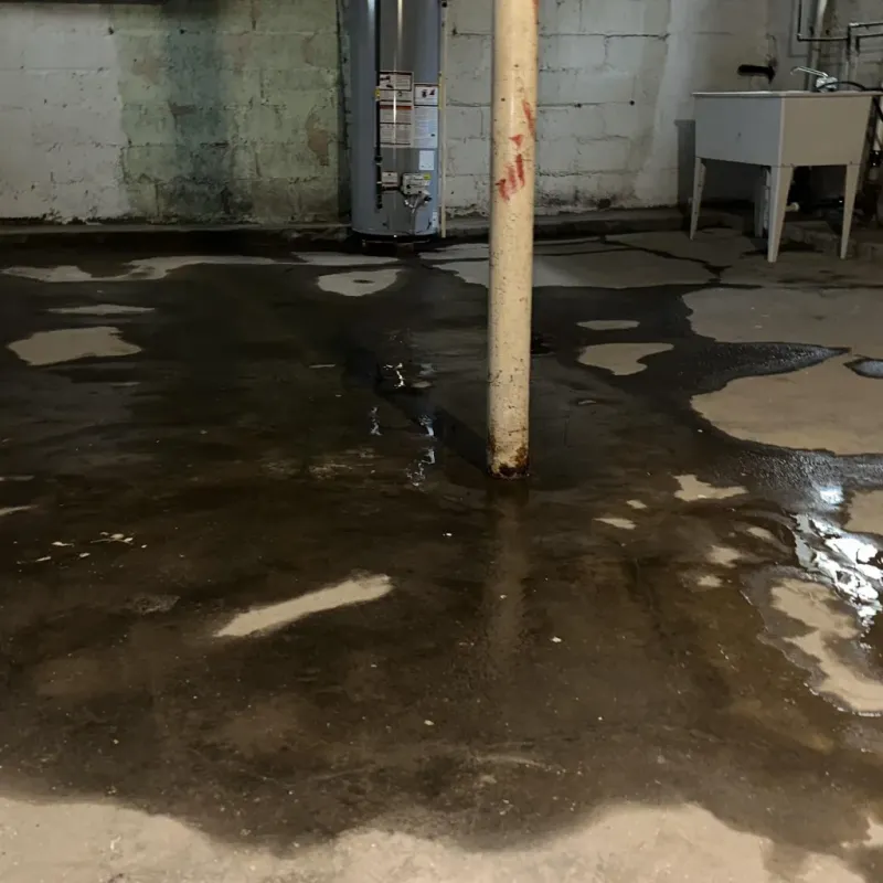 Emergency Water Extraction And Removal in Victoria, VA